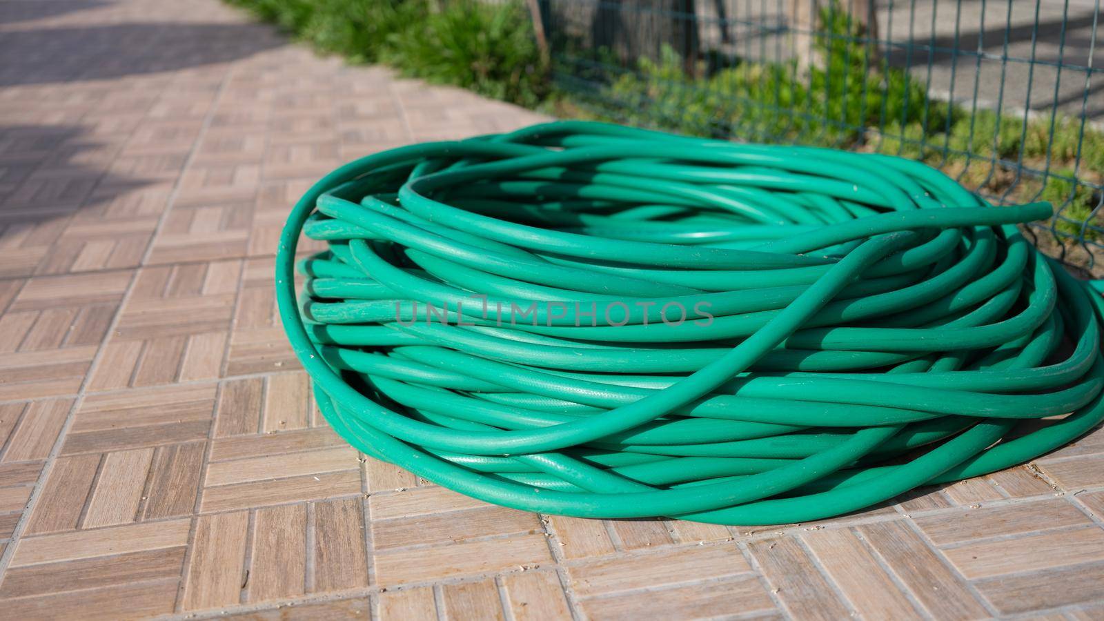 Bundle of garden hose on lawn in summer garden. Watering hose for garden