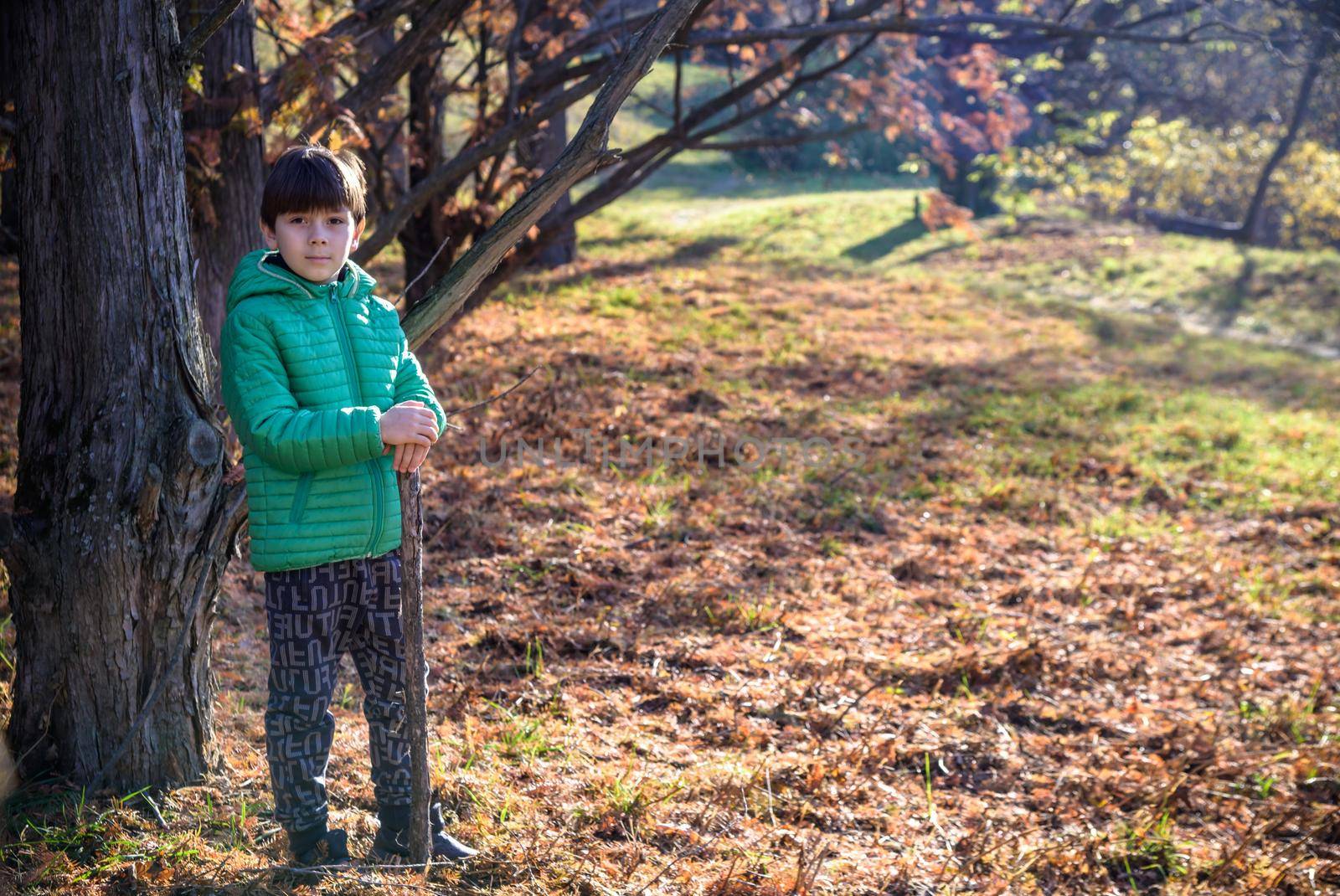 The boy was lost in the forest looking for a way home, the child was left alone in an unfamiliar place, summer holidays in nature, holding a stick in his hand, walking on the grass.