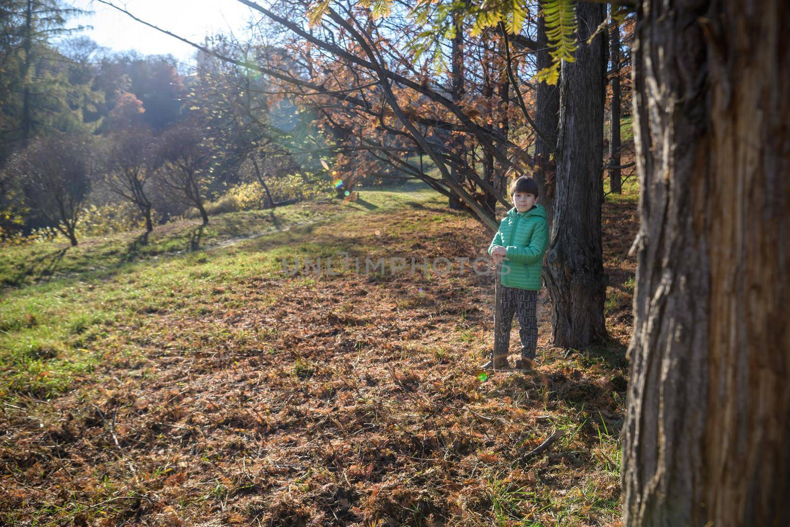 The boy was lost in the forest looking for a way home, the child was left alone in an unfamiliar place, summer holidays in nature, holding a stick in his hand, walking on the grass.