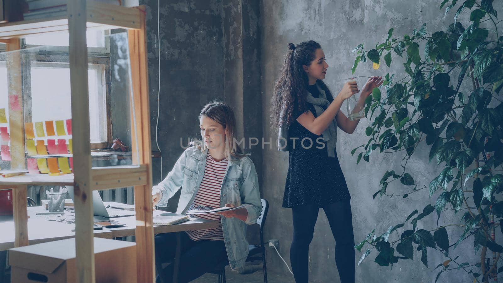 Female friends and business partners are working together in modern office. Blonde is sitting at table and collecting pictures, brunette is watering plants. by silverkblack