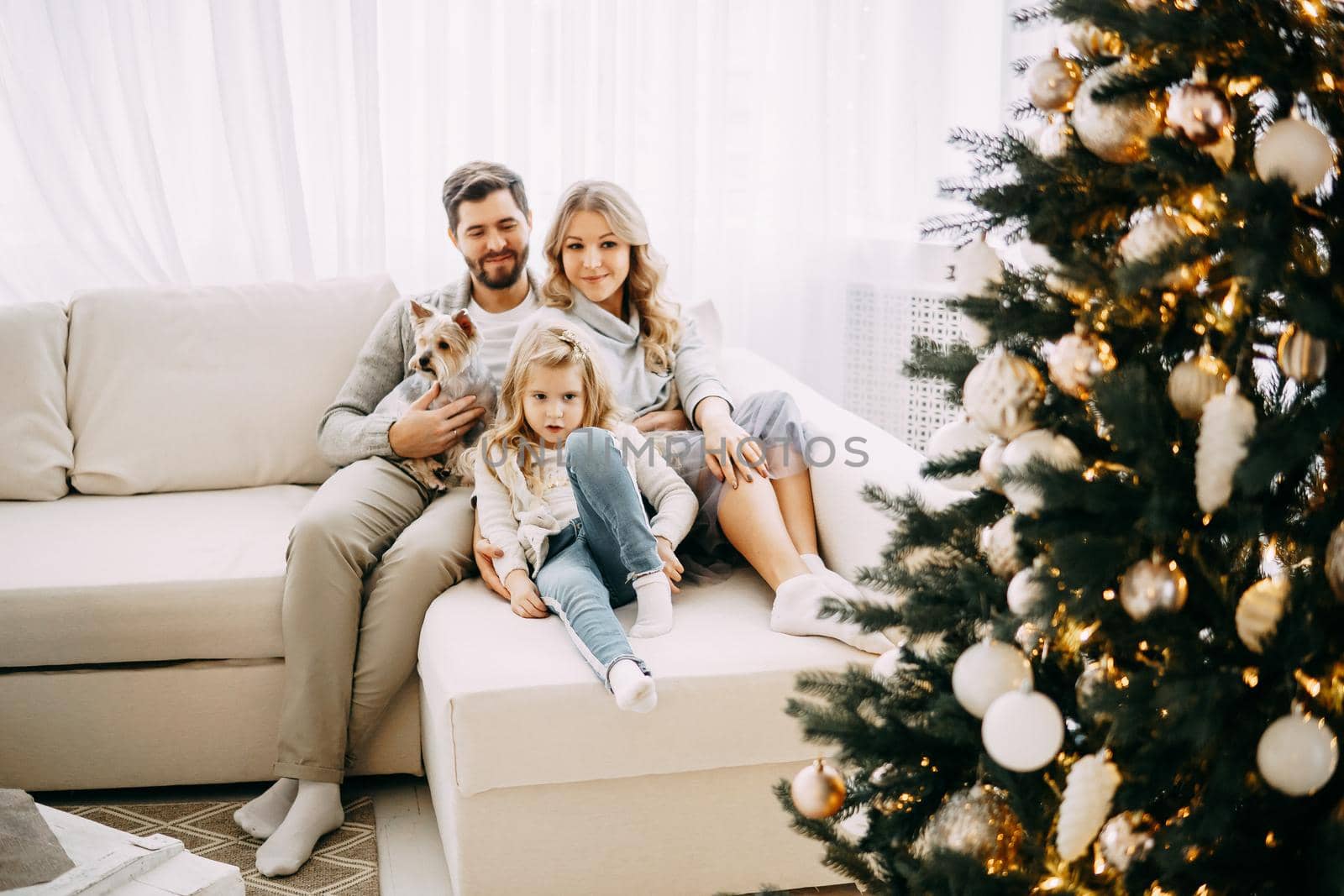 Happy family: mom, dad and pet. Family in a bright New Year's interior with a Christmas tree.