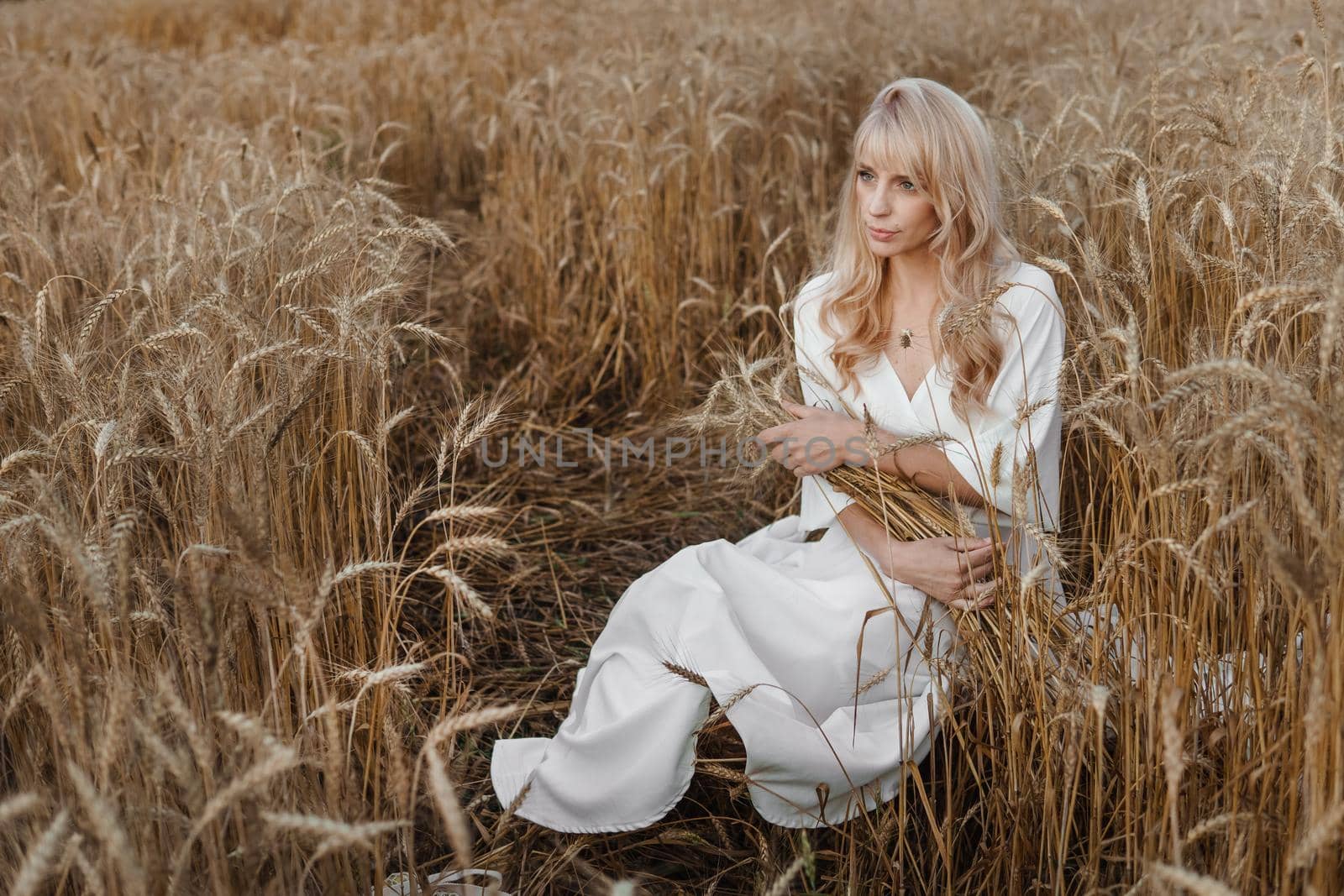 A blonde woman in a long white dress walks in a wheat field. The concept of a wedding and walking in nature.