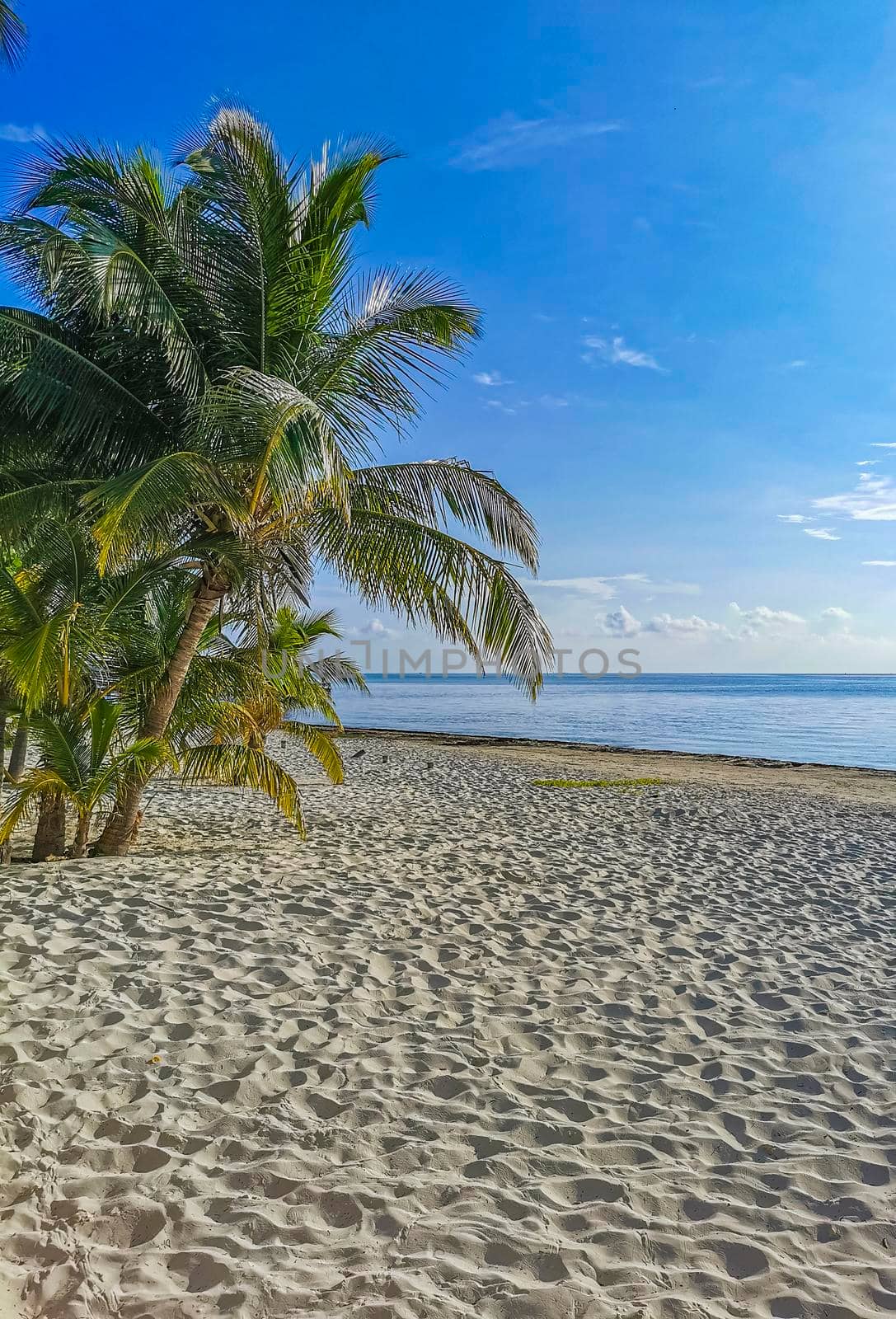 Playa Azul beach palm seascape panorama in Cancun Mexico. by Arkadij