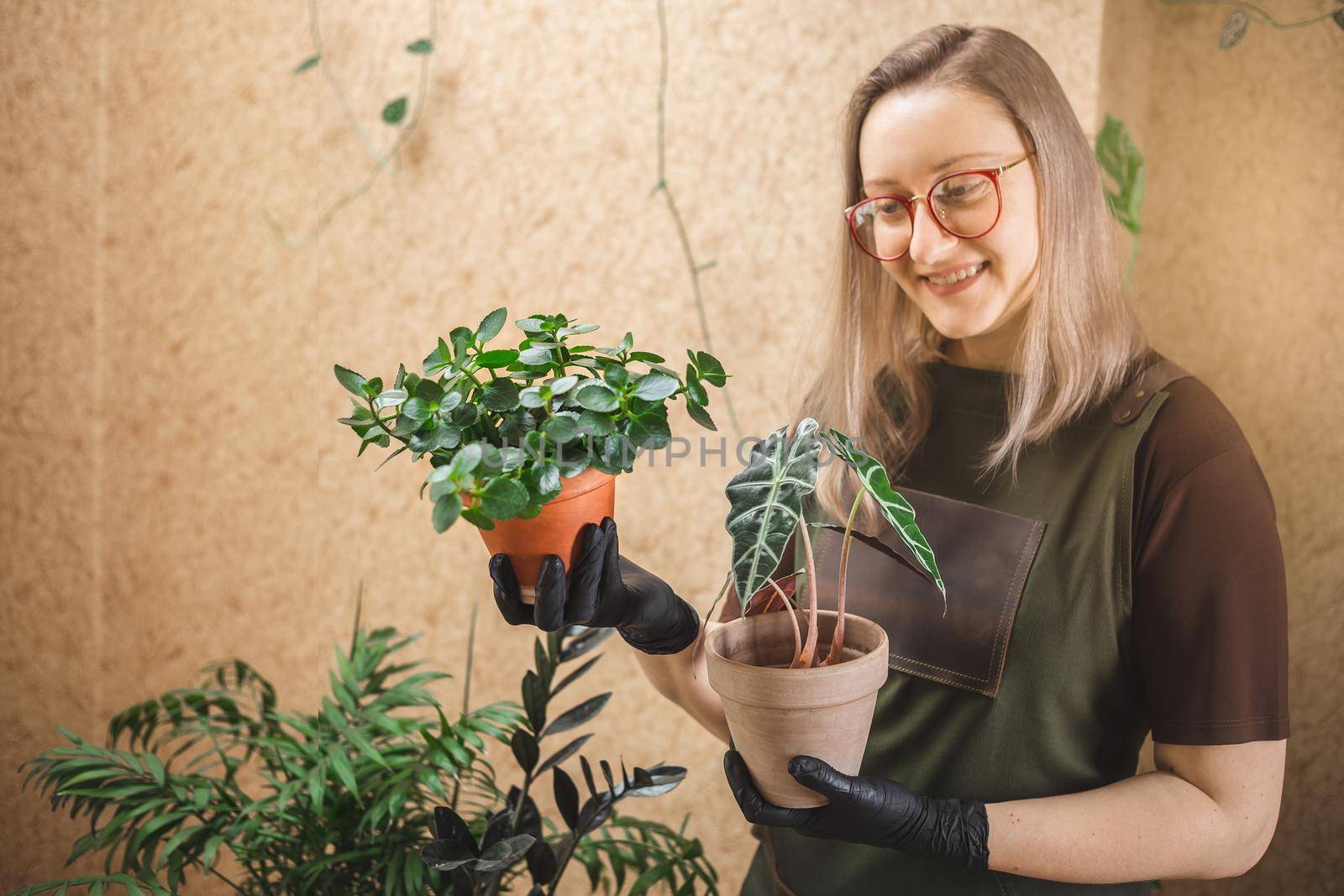 Smiling Middle age female gardener wearing apron and glasses taking care for house plants. Indoor garden concept. Copy space for text