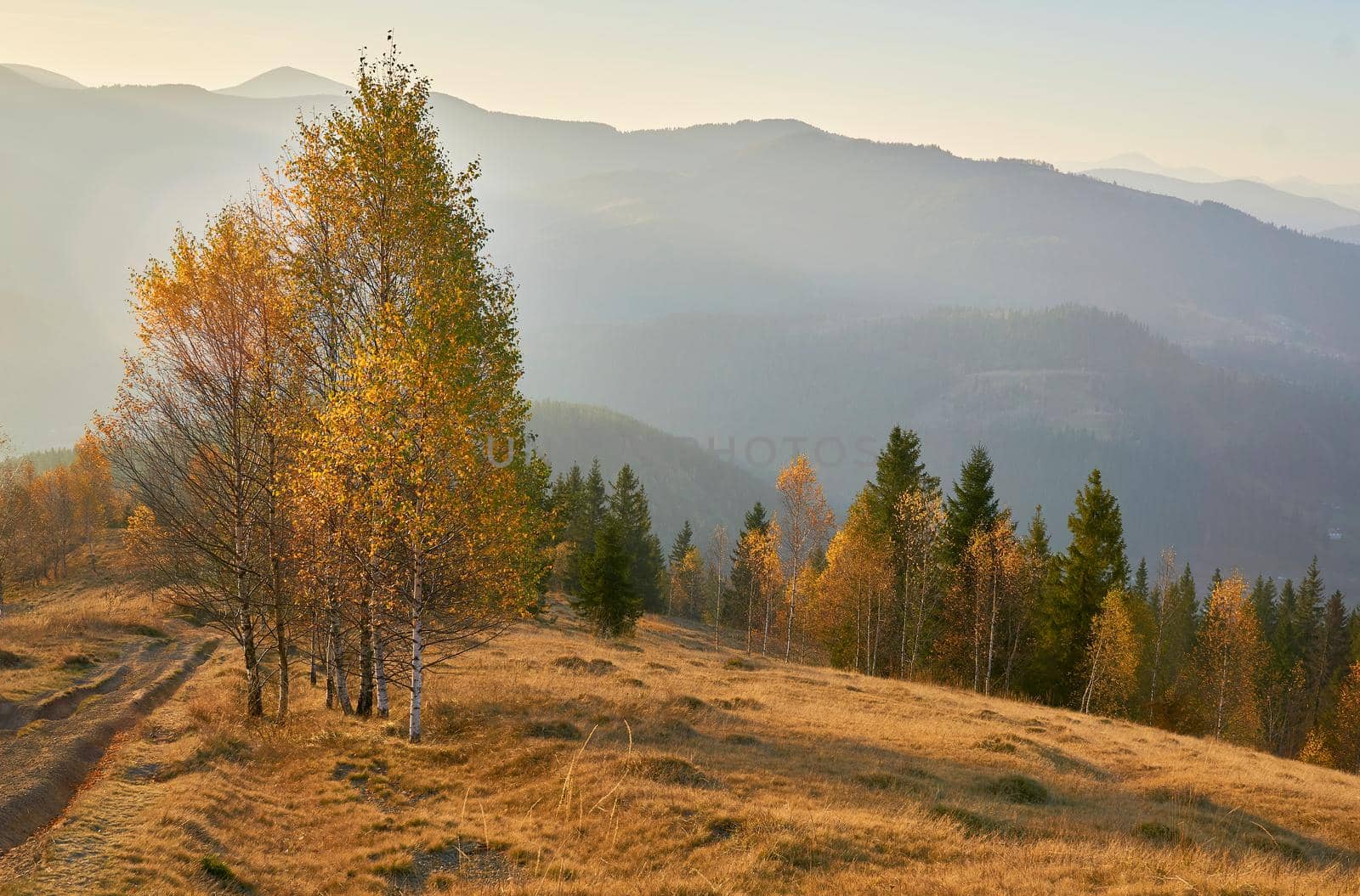 Autumn is one of the four temperate seasons. Outside the tropics, autumn marks the transition from summer to winterGolden bright autumn and rural road in the mountains on a warm day.
