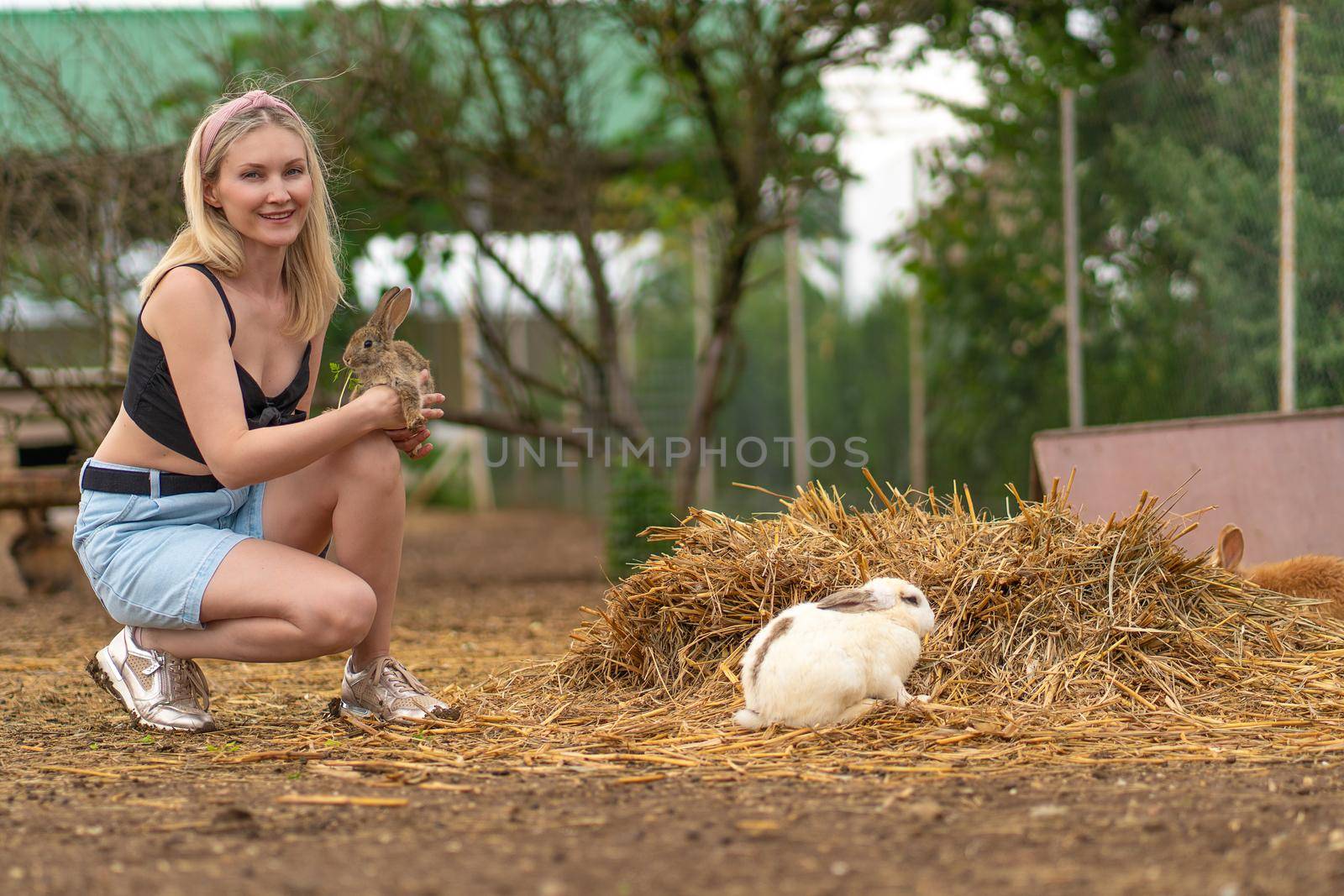 Girl parsley brown rabbit feeds easter bunny white fluffy healthy, concept group sitting from happy from furry domestic, wild eyes. Funny isolated, by 89167702191