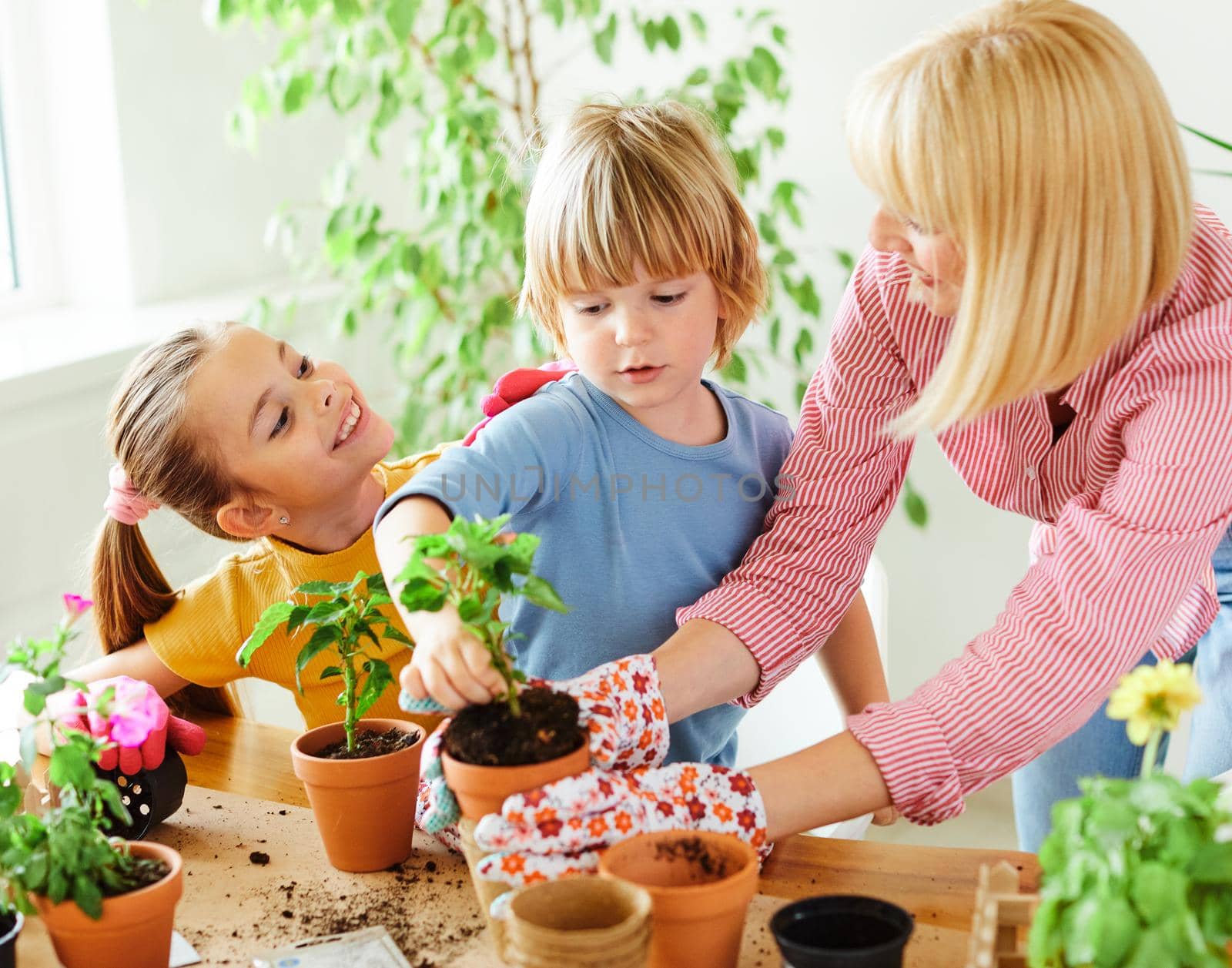 mother and children planting flowers and having fun at home or in the garden or greenhouse