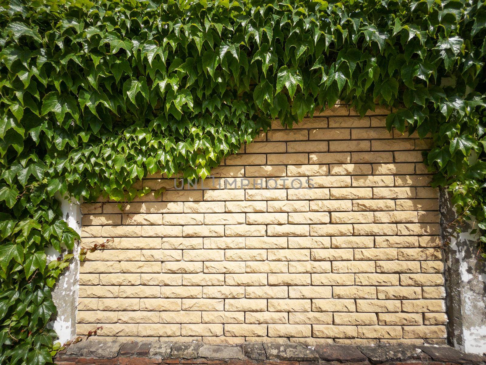 The fence is made of beige textured brick covered with plants in full screen
