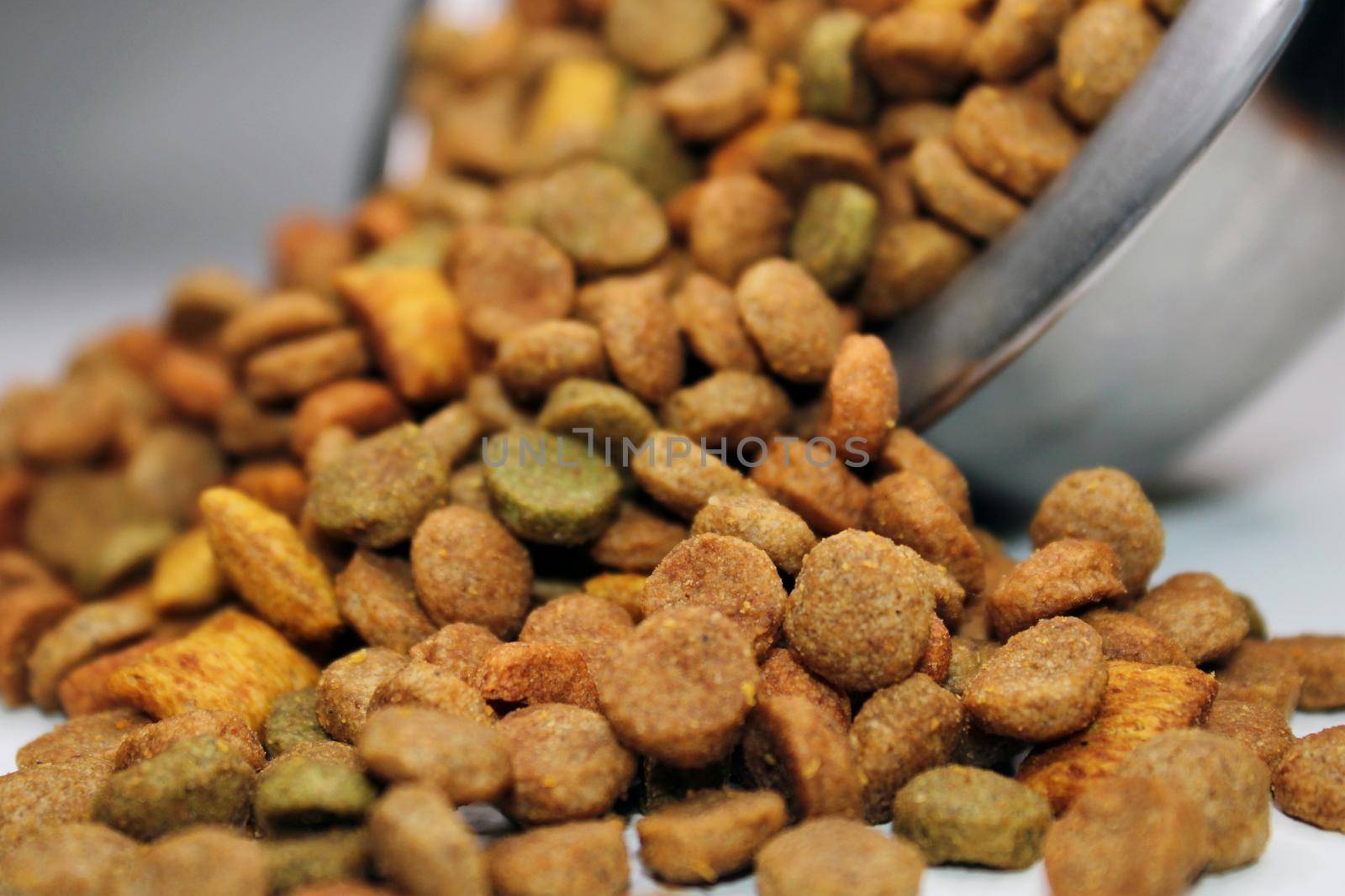 Dry food for cats, dogs, poured out of a bowl, on a light background. Close-up. Blurred background.