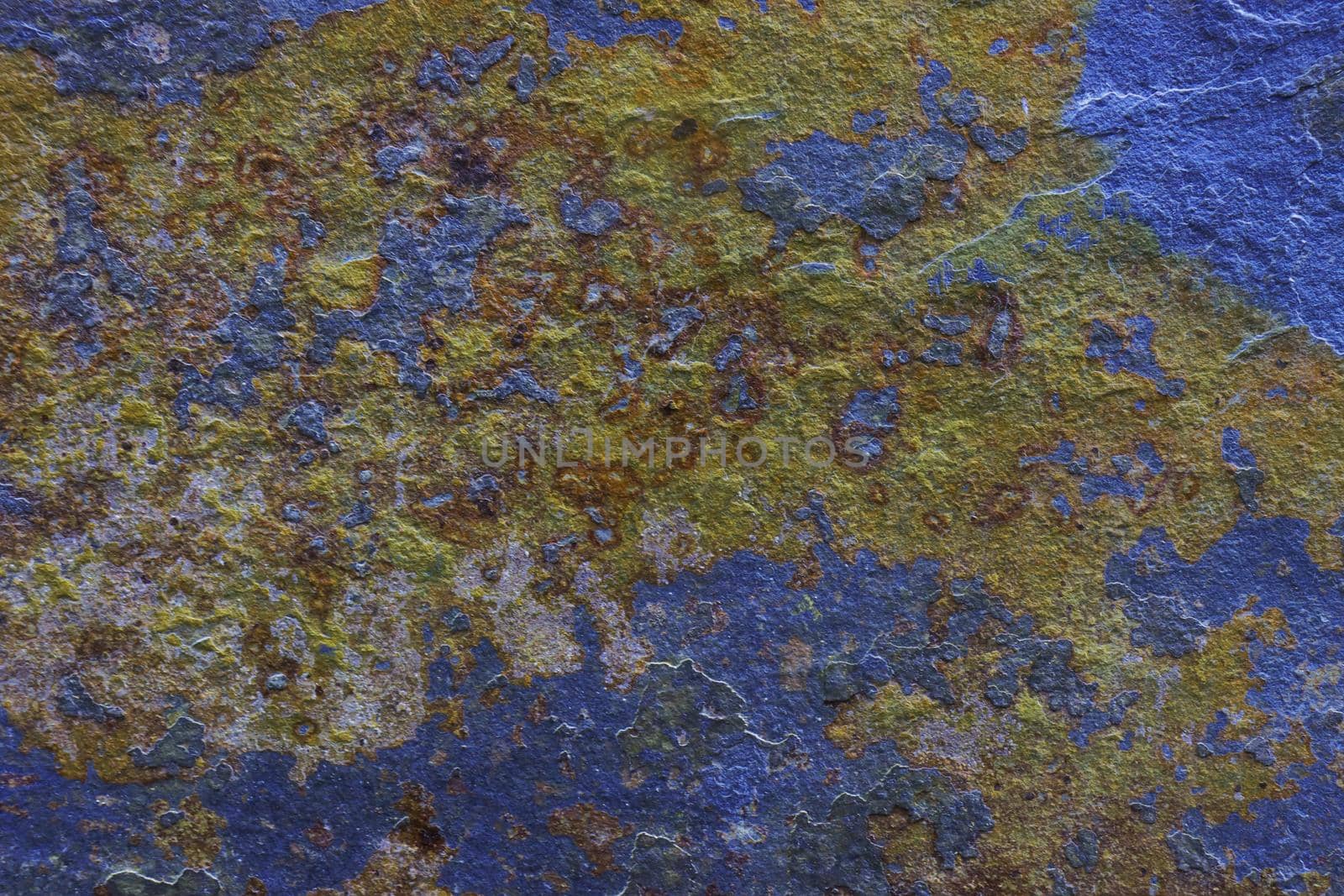 Abstract background from a time and weather-damaged painted wall. Moldy blue wall with damaged paint.