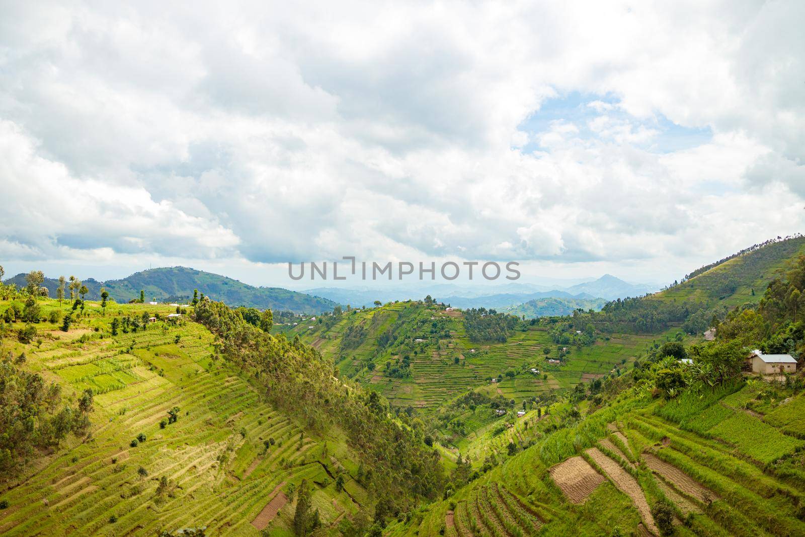 Beautiful rural landscape with agricultures terraces, Rwanda. Copy Space. Travel