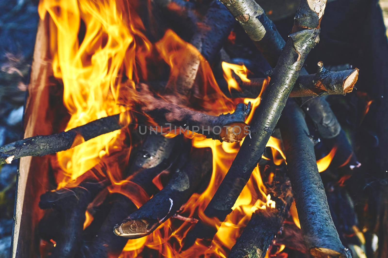 a large open air fire used as part of a celebration, for burning trash, or as a signal. Kindling fruit firewood for grilling and smoking fish meat