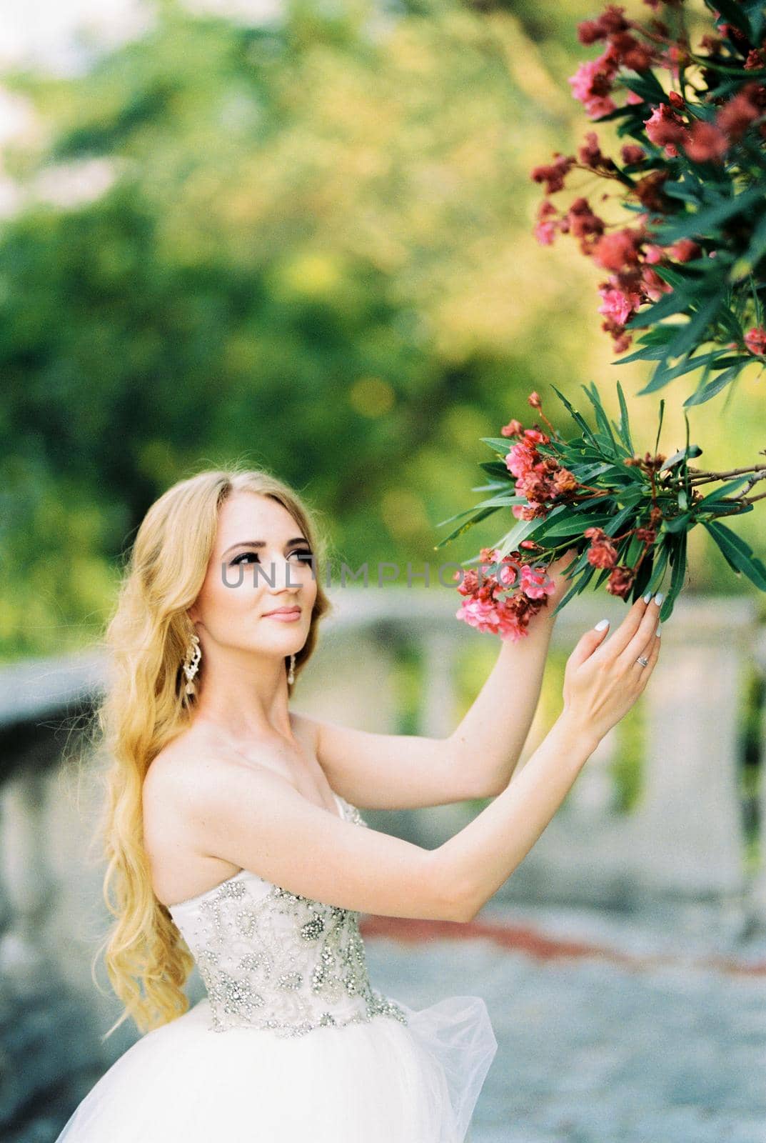 Bride holds in her hands a branch of a flowering pink tree. High quality photo