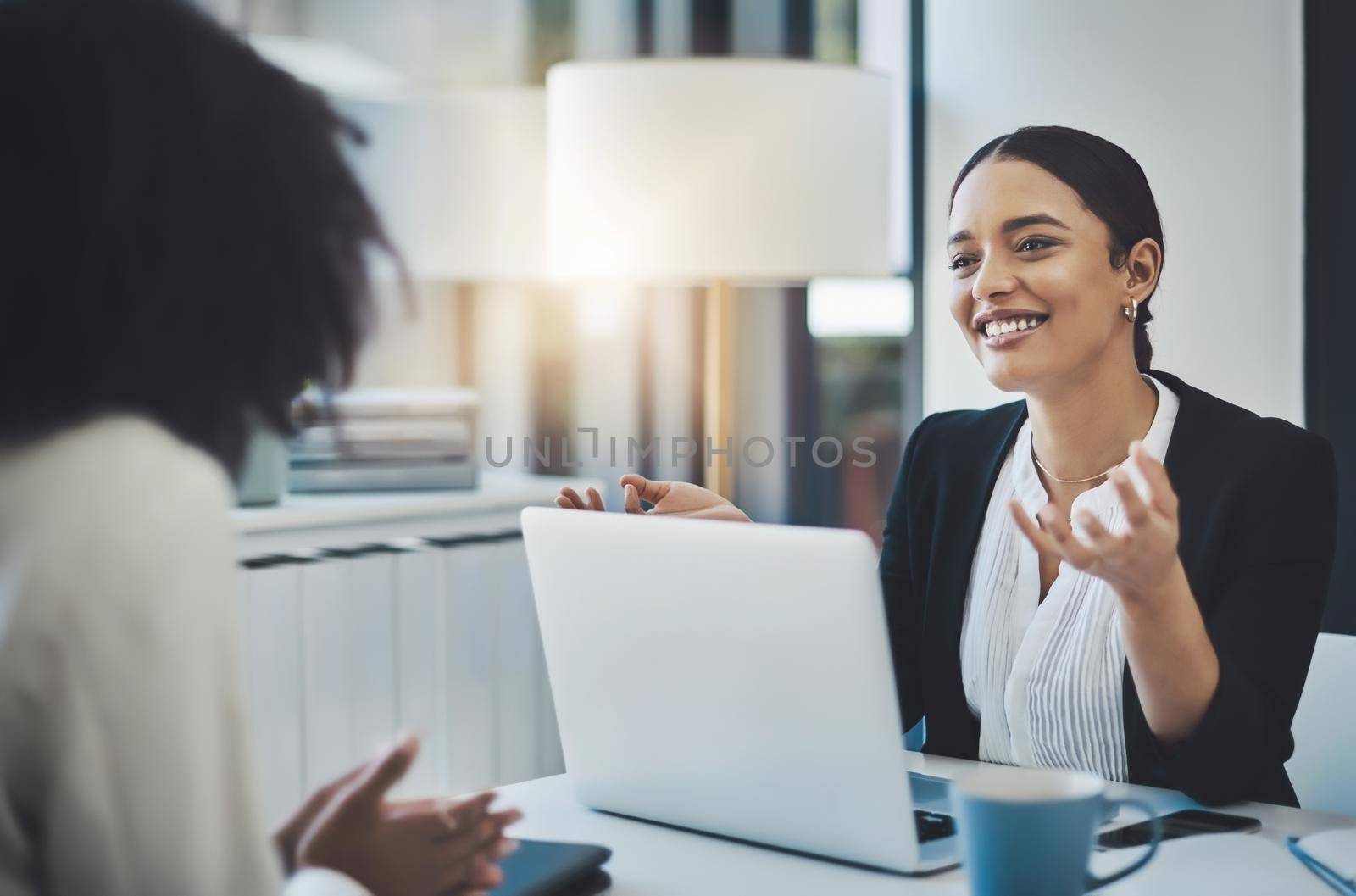 She brings confidence with her into every meeting. two businesswomen having a discussion in an office