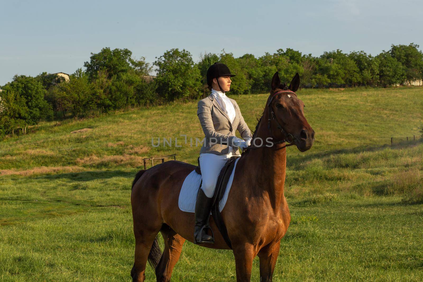 Young woman riding a horse on the green field. Horseback Riding. Competition. Hobby