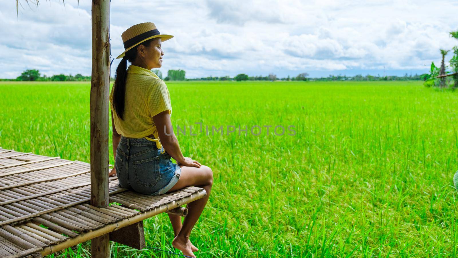 Eco farm homestay with a rice field in central Thailand, paddy field of rice during rain monsoon season in Thailand. Asian woman at an homestay farm in Thailand