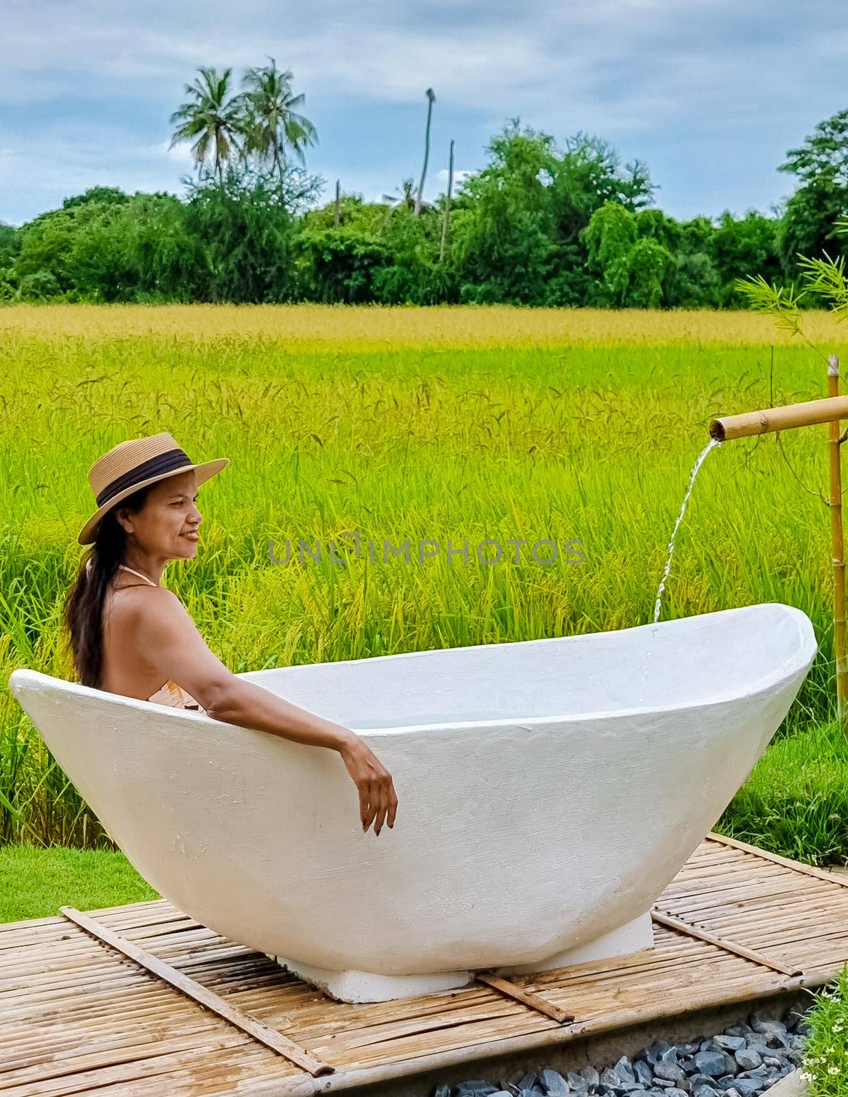 Eco farm homestay with a rice field in central Thailand, paddy field of rice during rain monsoon season in Thailand. Asian woman at a homestay farm in Thailand, woman taking a bath outside