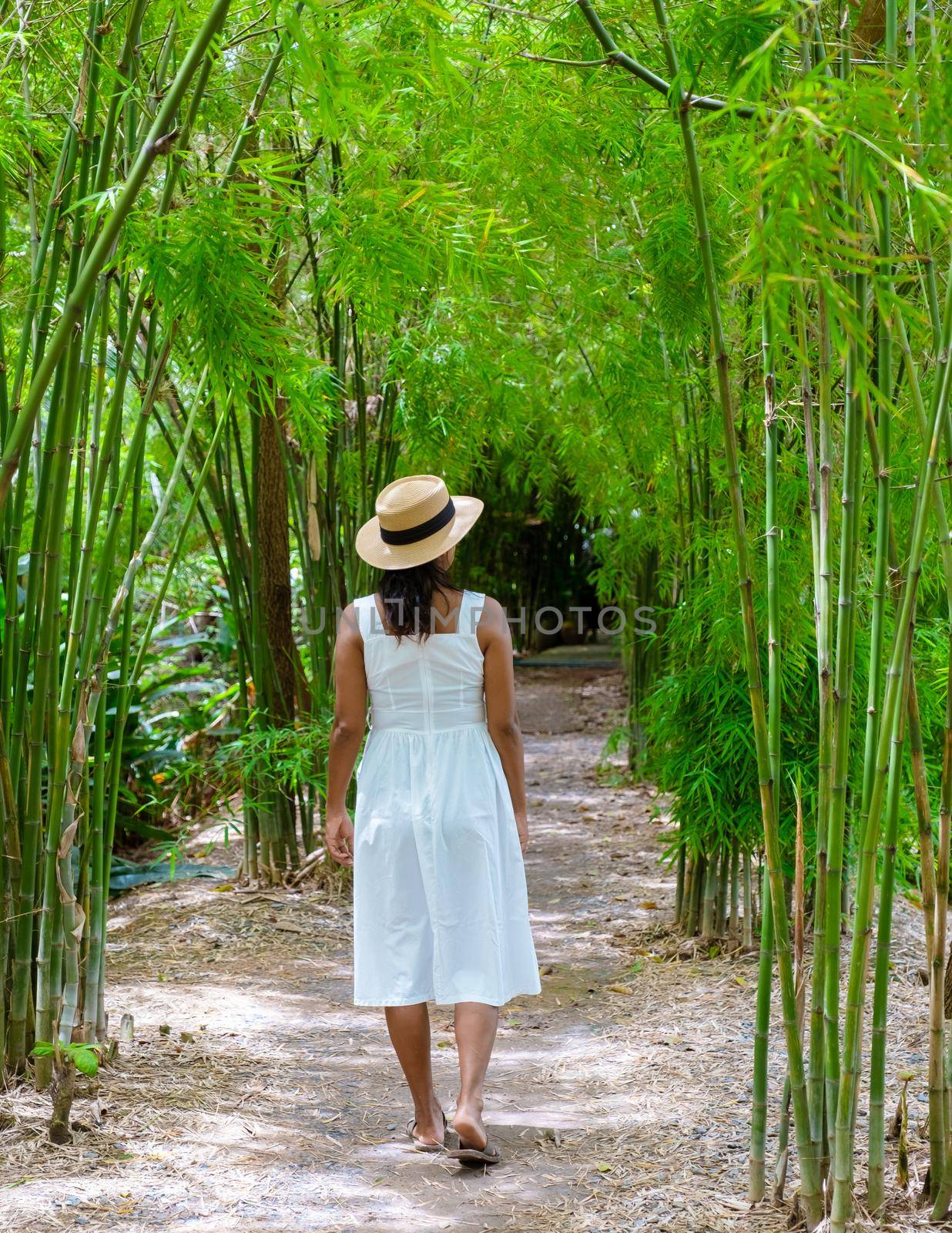 Asian women at a Eco farm homestay with a rice field in central Thailand by fokkebok