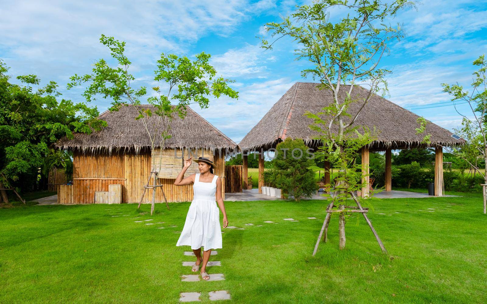 Eco farm homestay with a rice field in central Thailand, paddy field of rice during rain monsoon season in Thailand. Asian woman at an homestay farm in Thailand