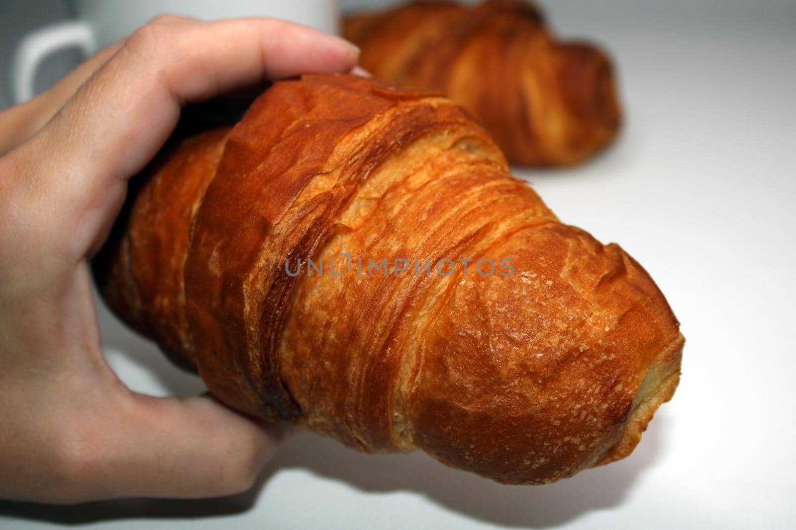 Fresh crispy croissant close-up in hand. Blurred light background. Cooking, home baking.