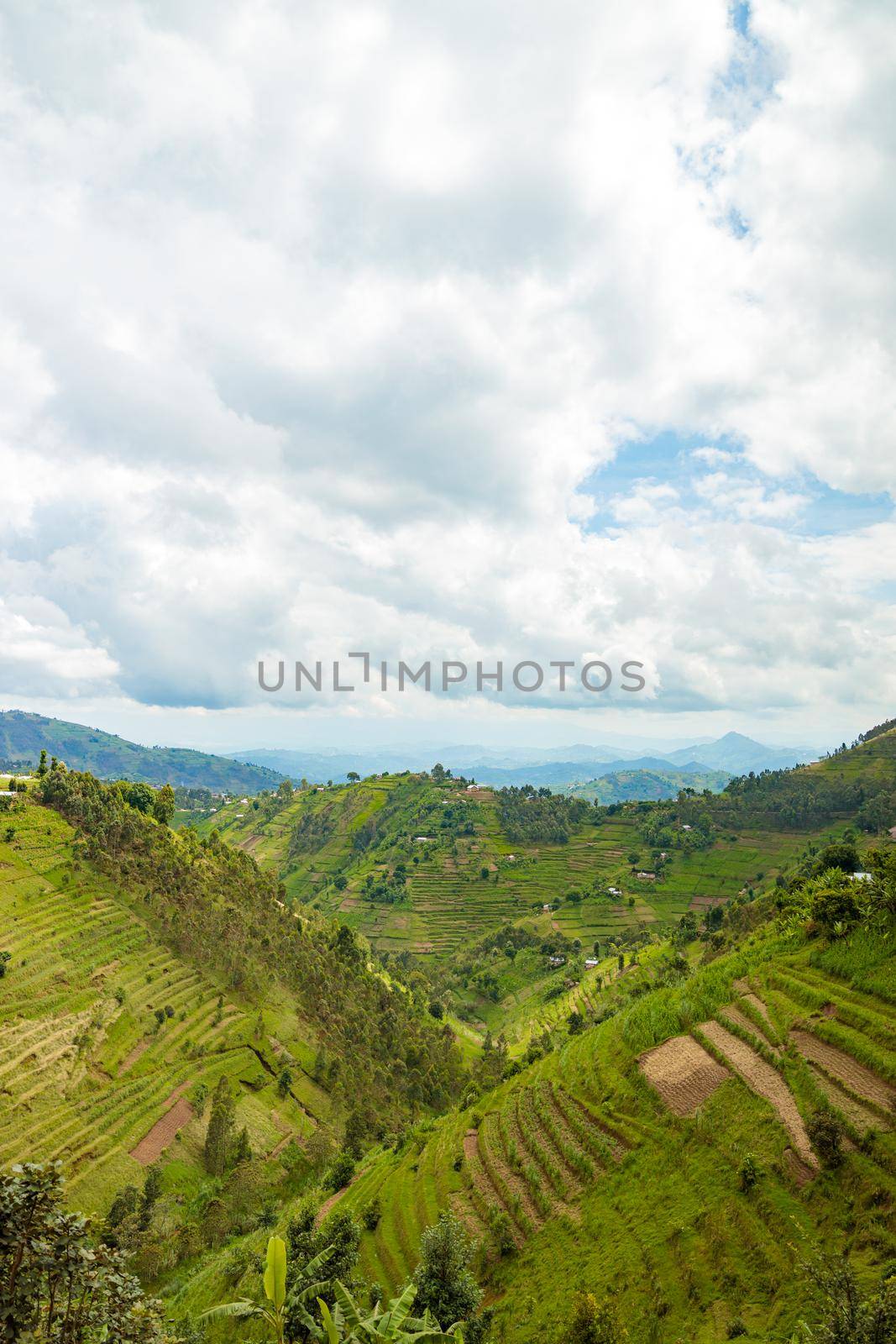 Beautiful rural landscape in Rwanda near Nyungwe National Park, Africa. Copy space. Travel