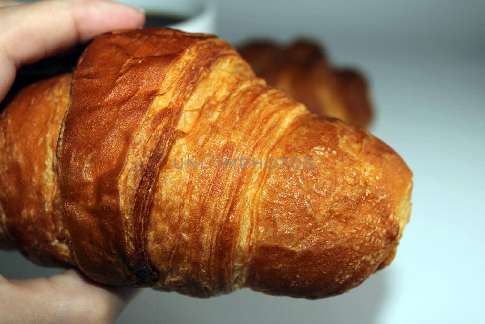 Fresh crispy croissant close-up in hand. Blurred light background. Cooking, home baking.