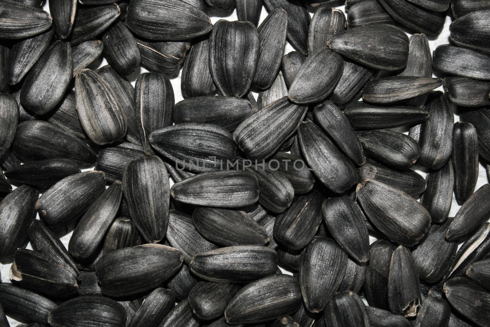 Black sunflower seeds close up. Background. The concept of agriculture, food, healthy lifestyle.