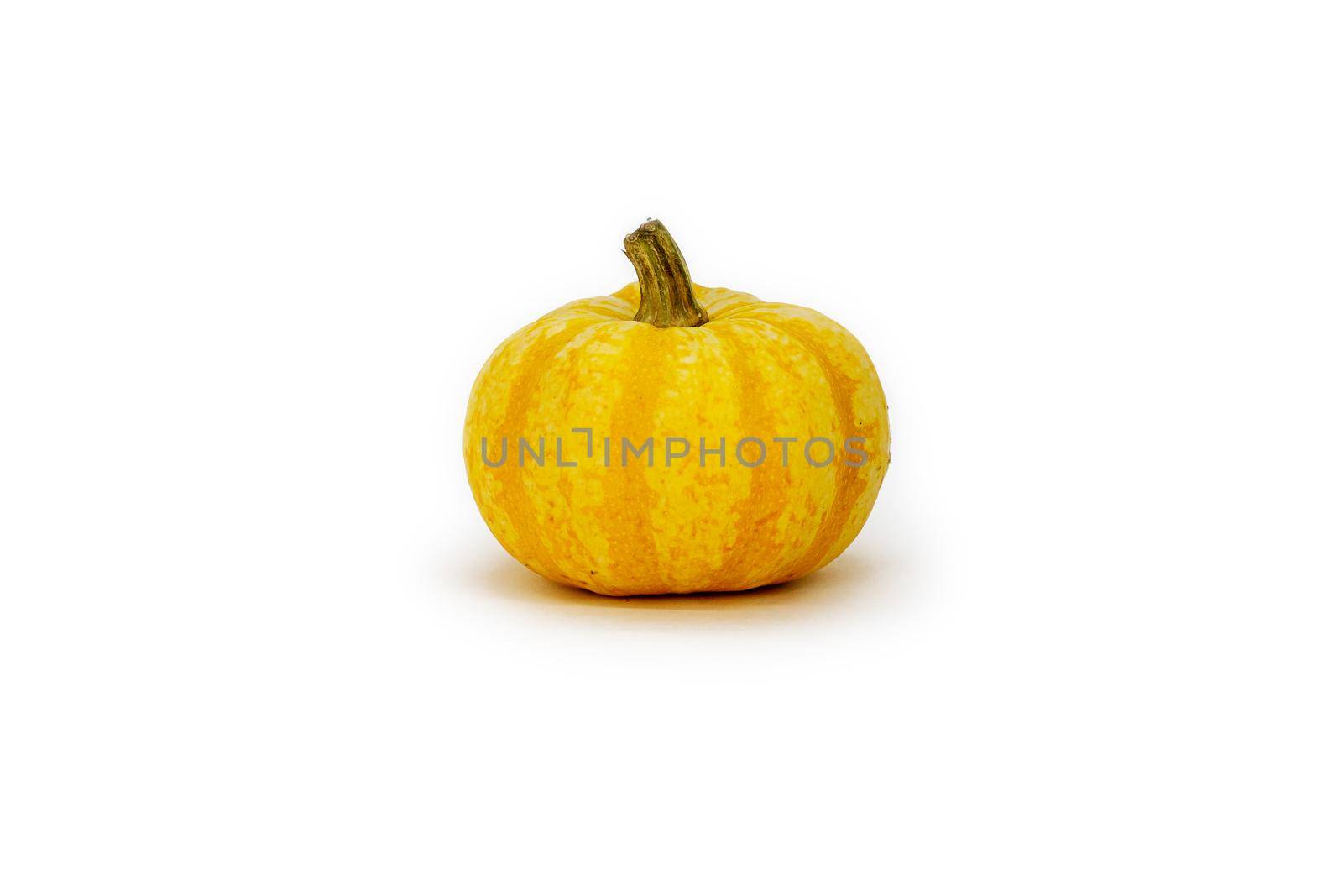 Close-up isolated object. Small decorative orange Muscat pumpkin on a white background. Cut object. Concept for autumn design, restaurant menu, Thanksgiving and Halloween.