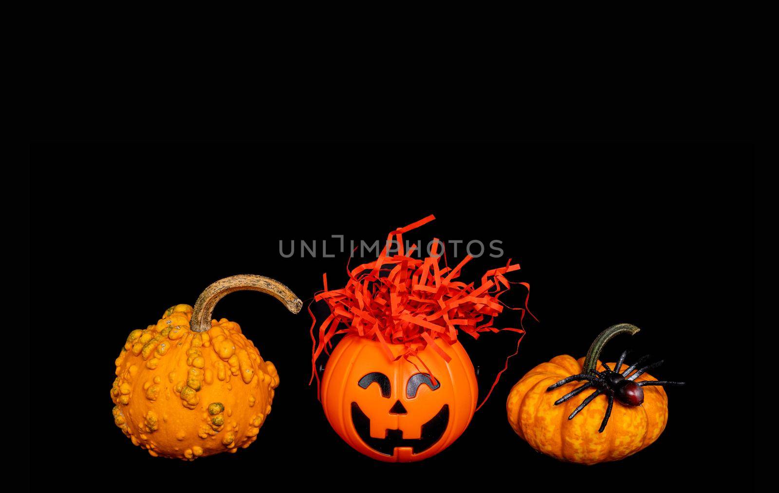 set, group of small funny pumpkins on black background in halloween style. Decorative elements - cobweb, spider, candy basket. Isolated object, easy to cut out for design, poster.