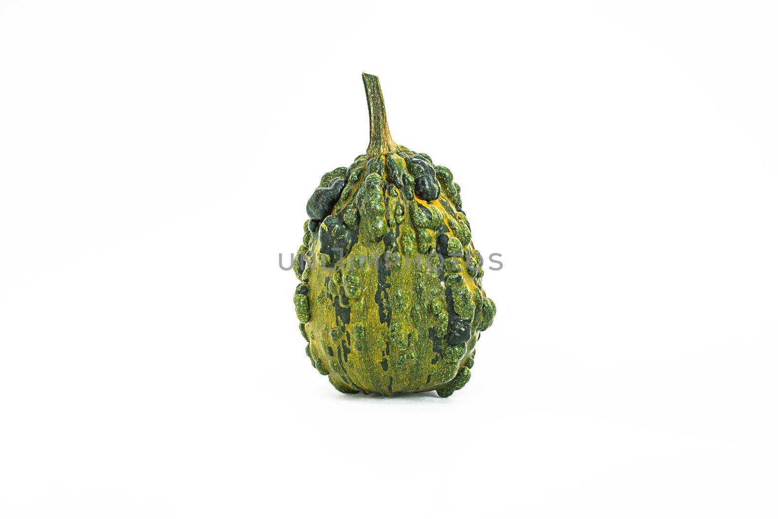 Isolated decorative small pumpkin, green color on a white background. cut object by Ramanouskaya
