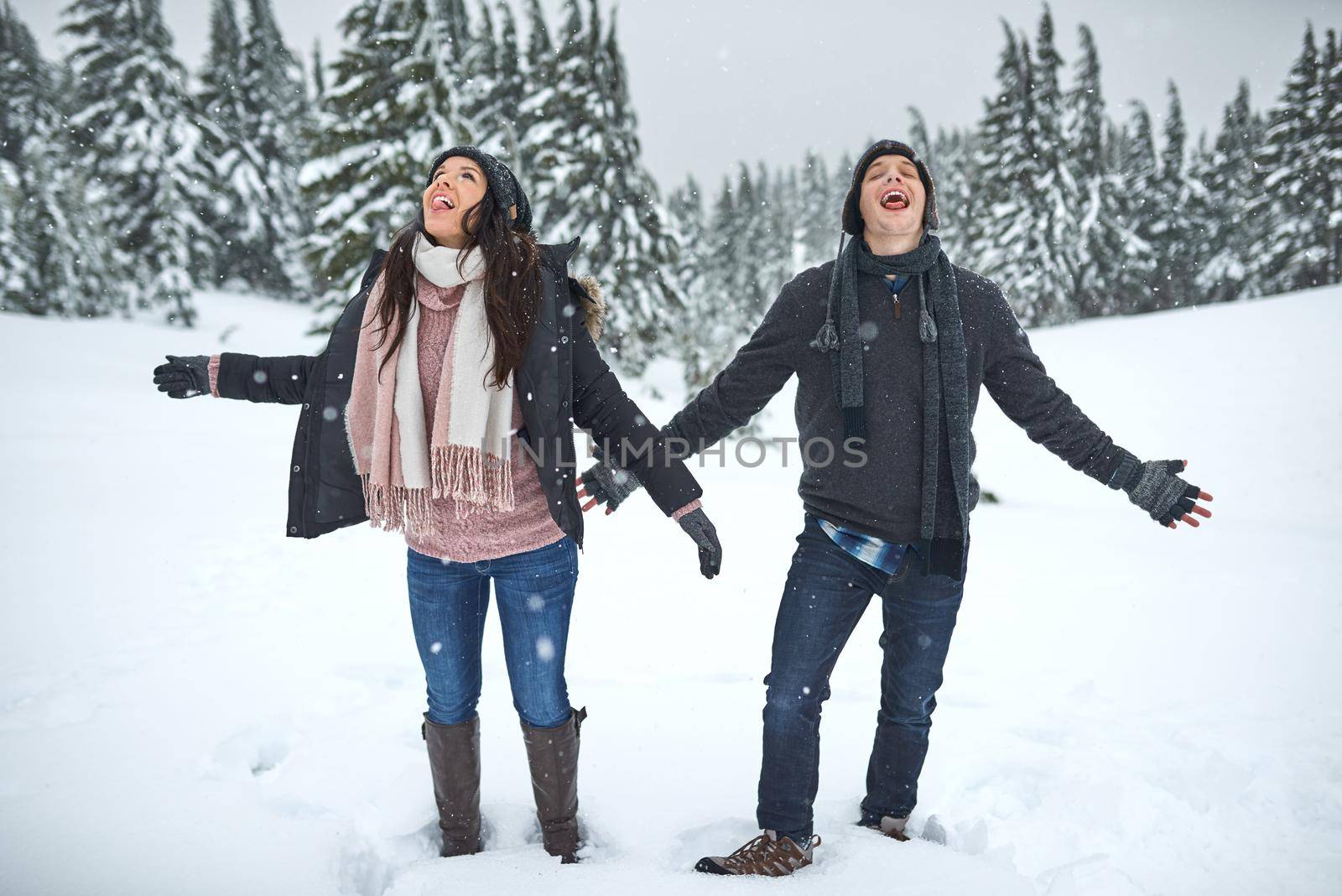 Go where you feel most alive. a happy young couple enjoying themselves while being out in the snow