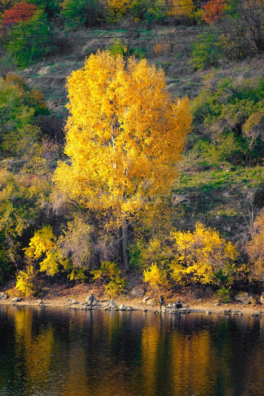 Fantastic autumn landscape on the river. Colorful morning view of autumn yellow and green trees with reflection on water. Beauty of nature concept background.