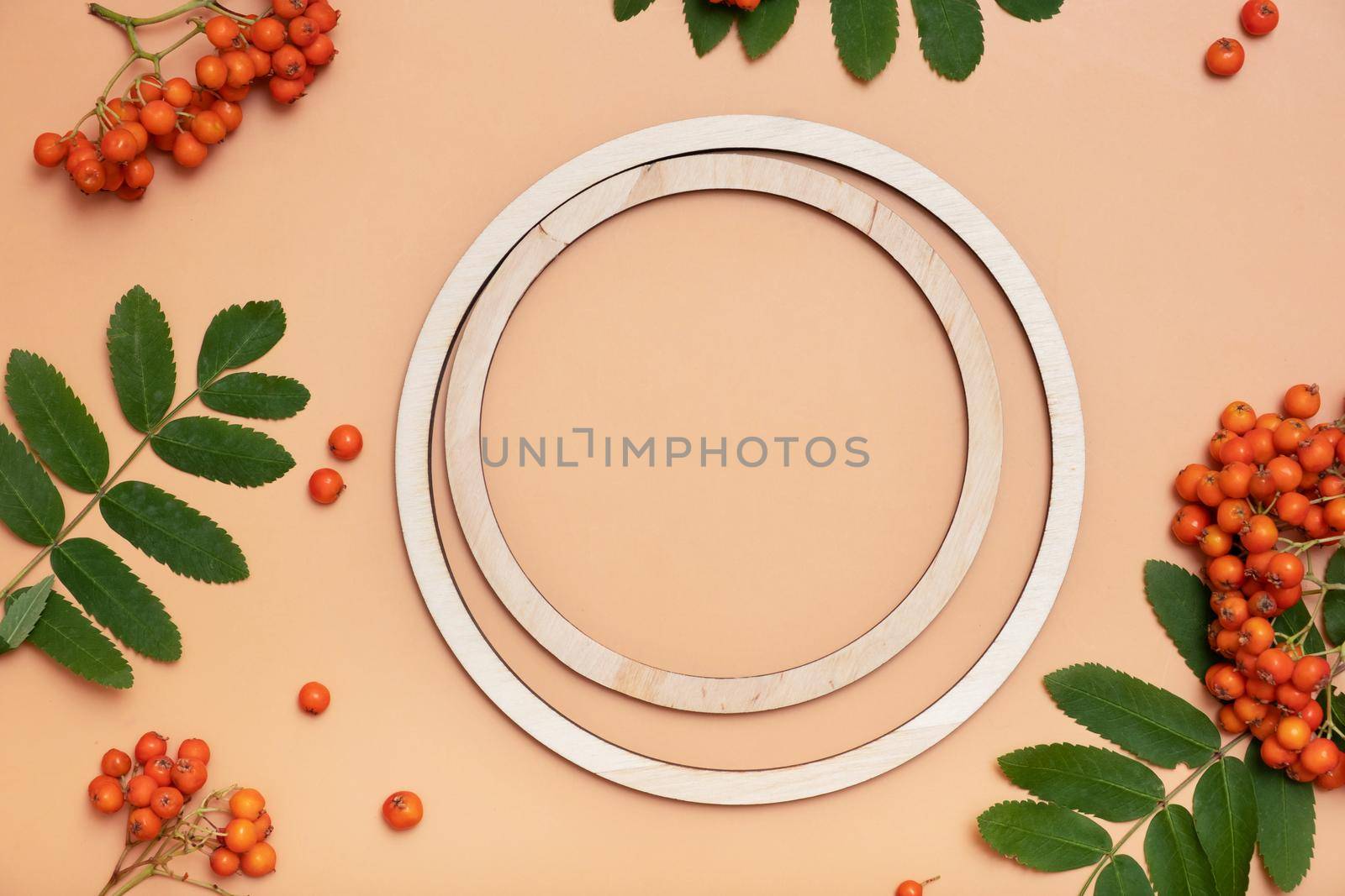 Wooden frame with copy space decorated with rowan leaves and berries. Autumn mock up flat lay, top view.
