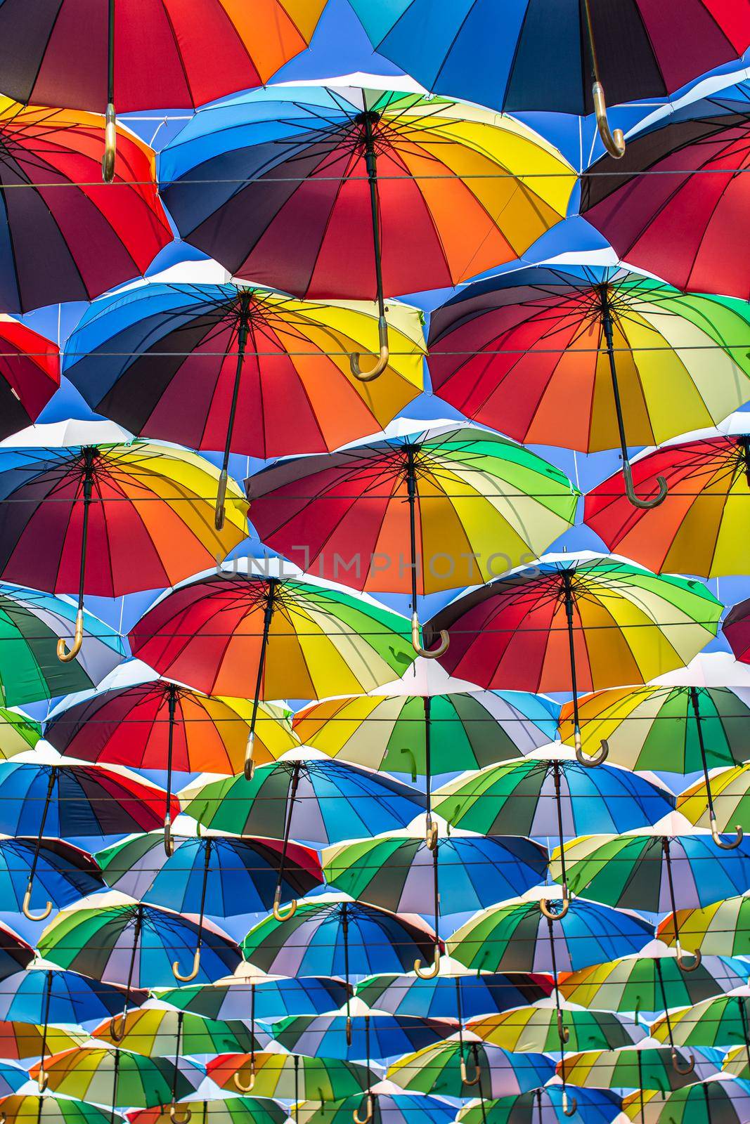 Colorful umbrellas Blue, green, red, rainbow umbrellas background Street with umbrellasin the sky