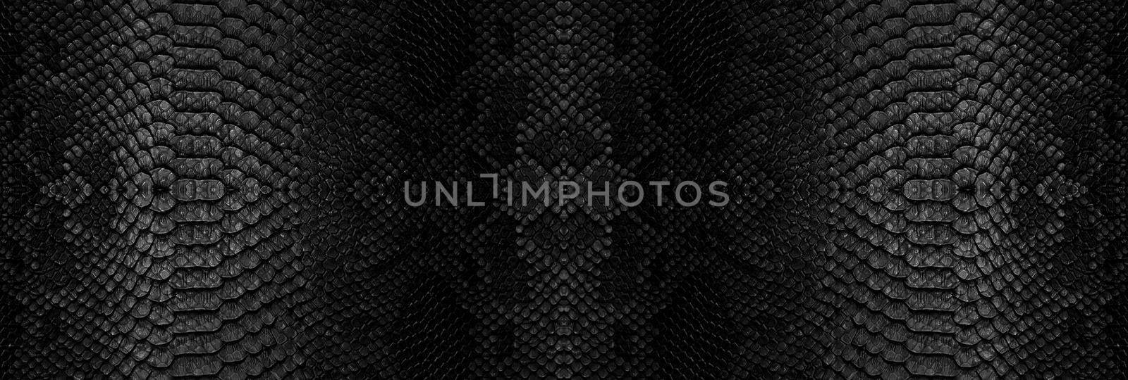 Snake skin texture closeup background. Panoramic web banner with copy space background