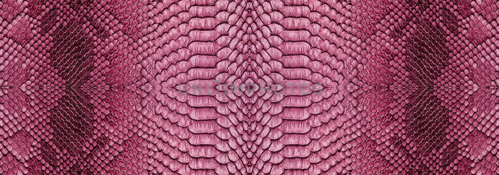 Snake skin texture closeup background. Panoramic web banner with copy space background by vikiriki