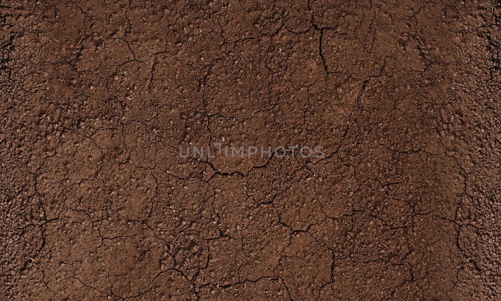 Dark soil texture closeup of dry soil background