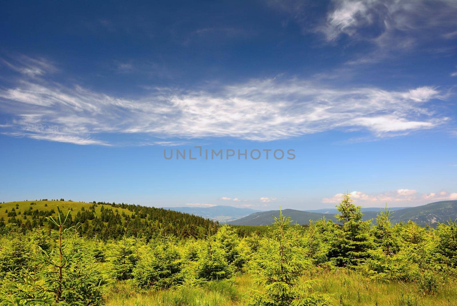 Jeseniky mountains landscape in summer with clear blue sky, Czech Republic.