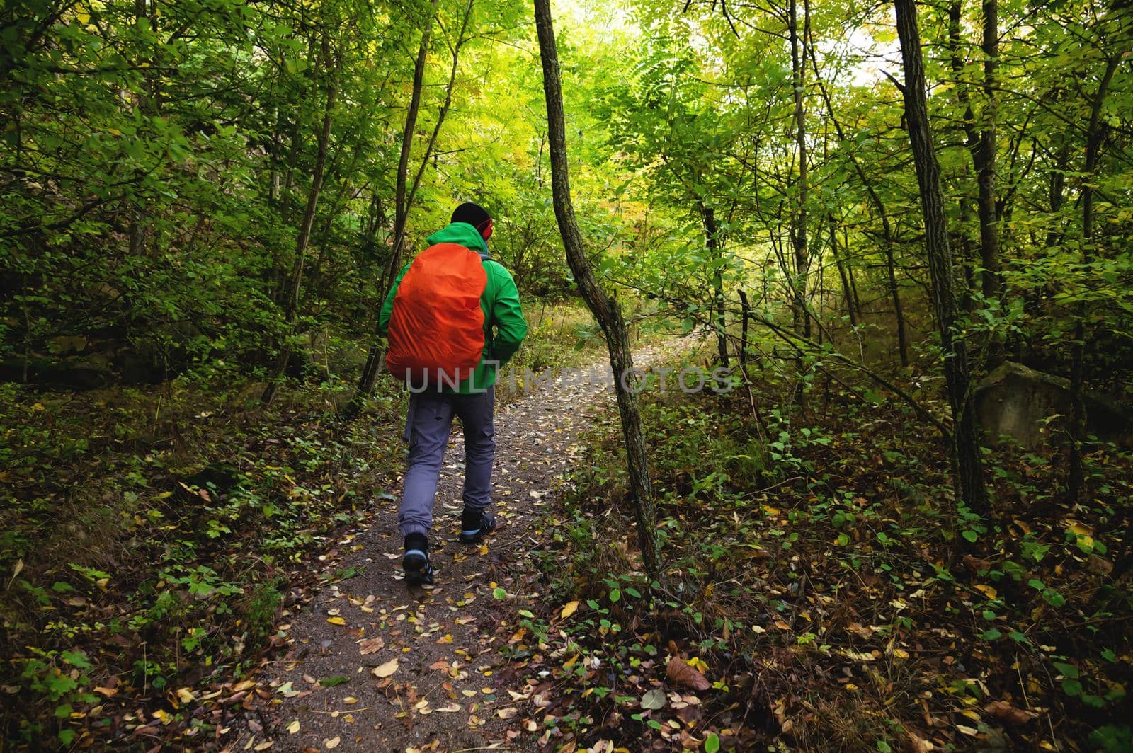 A tourist in a green jacket and a red backpack walks along a mountain path in spring or autumn. Traveler, tourist in autumn landscape. Mountains and trekking, rear view.