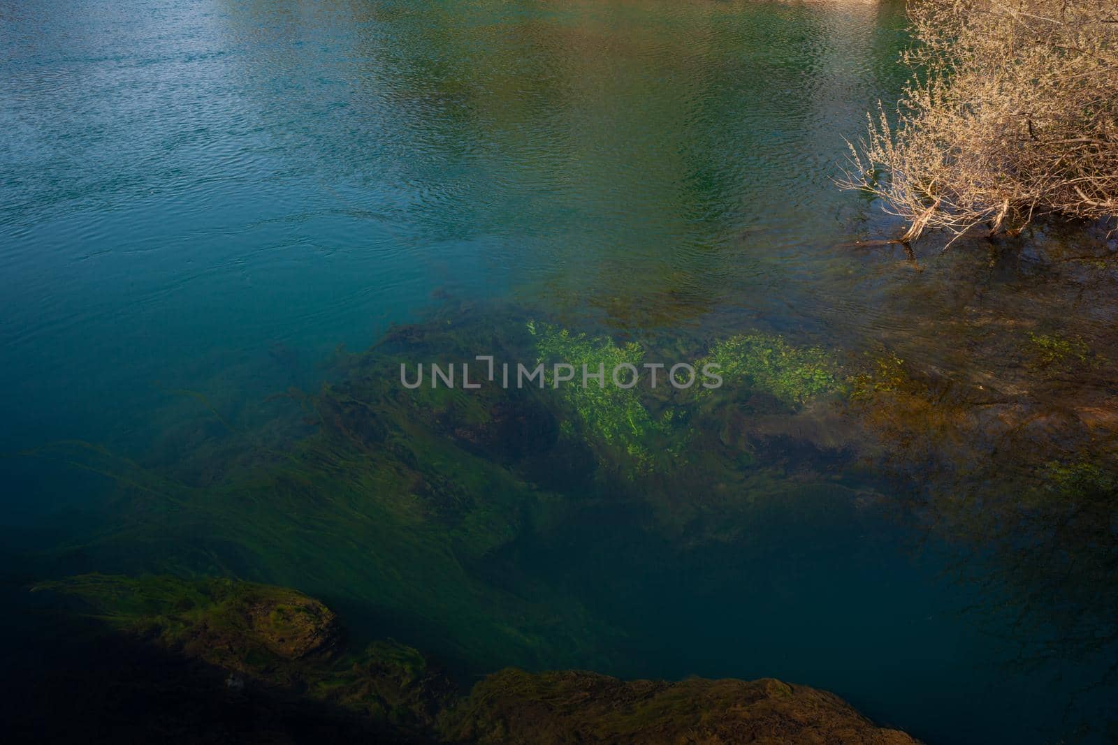 View of the Timavo river resurgences, Italy