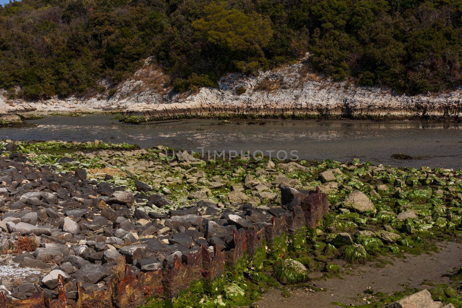 Timavo river resurgences by bepsimage