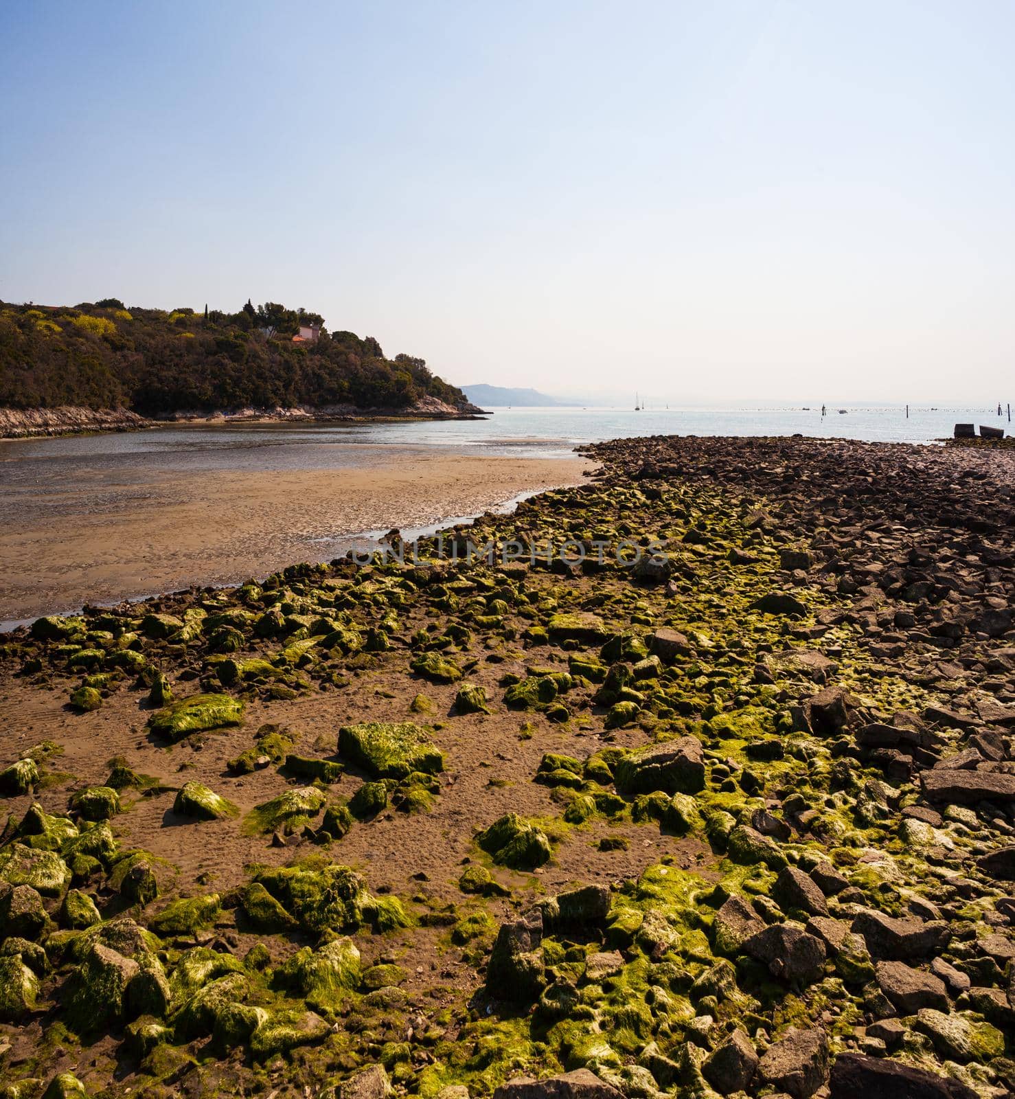 View of the mouth of the Timavo river, Italy