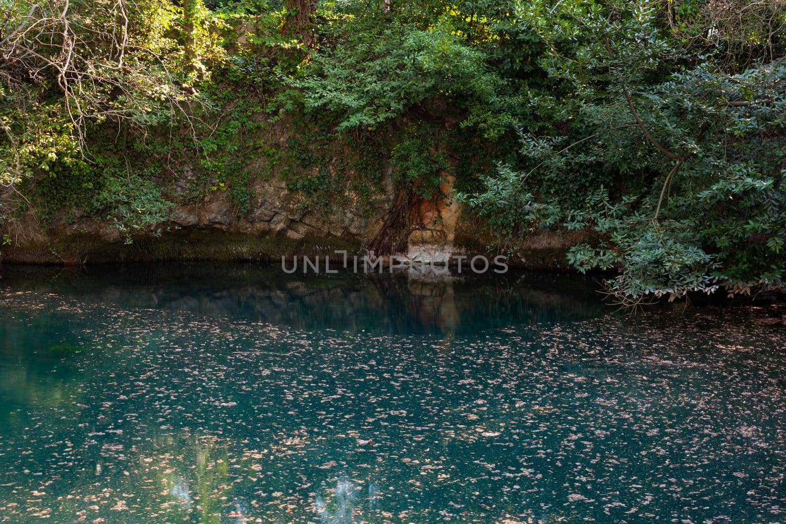 View of the Timavo river resurgences, Italy