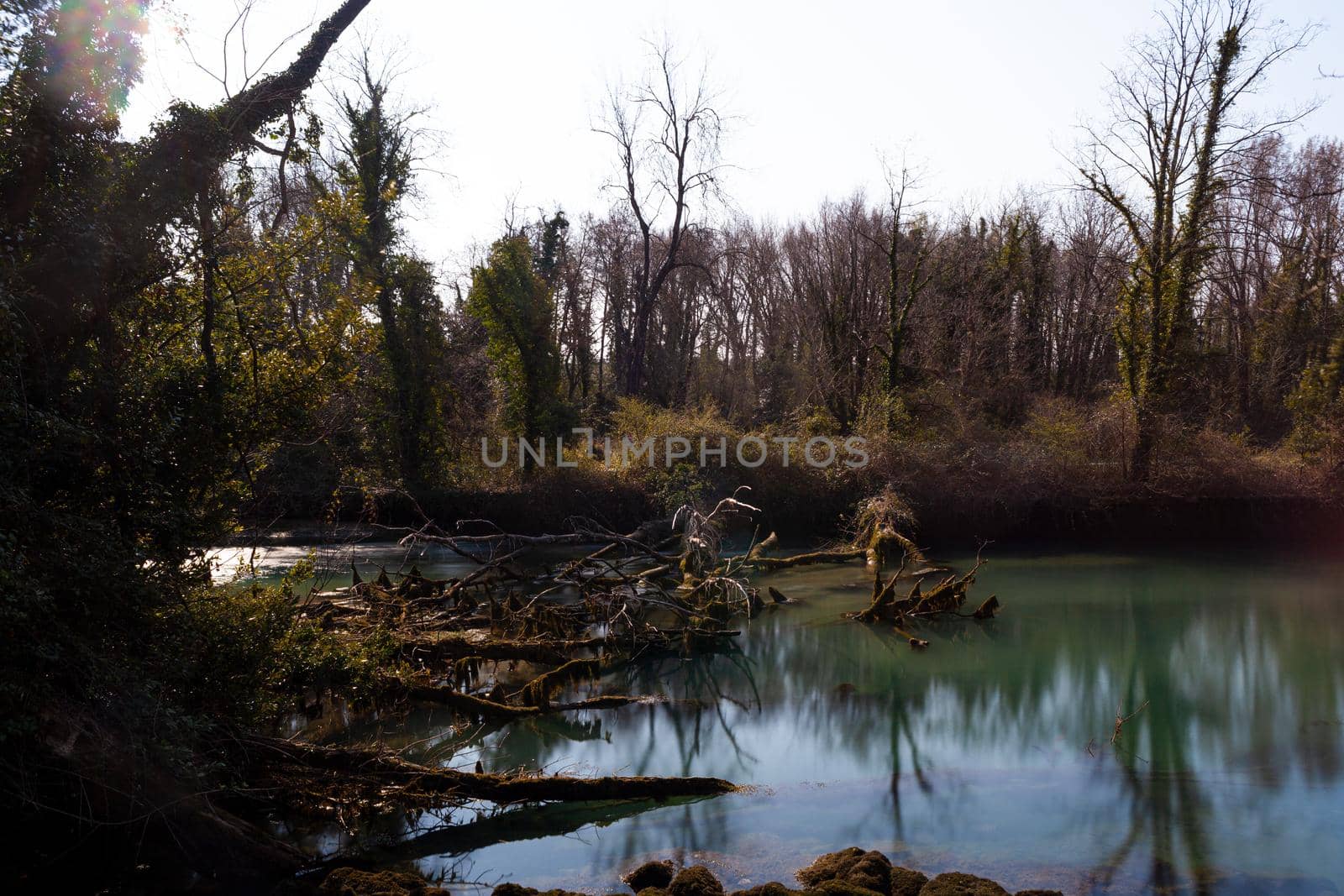 View of the Timavo river resurgences, Italy