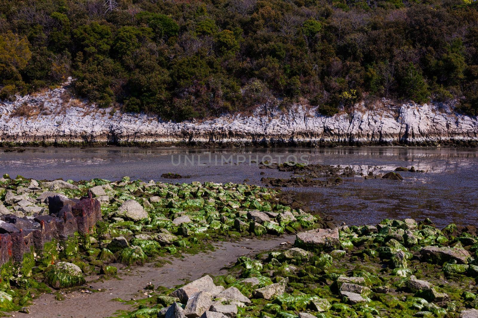 View of the Timavo river resurgences, Italy