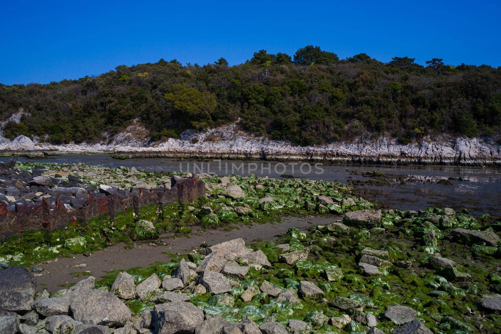 View of the Timavo river resurgences, Italy