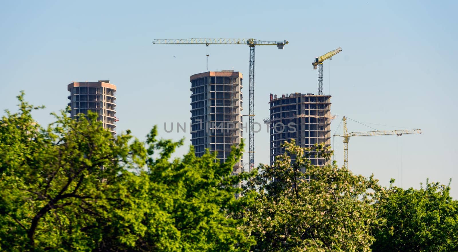 green spaces against the background of the construction of multi-storey buildings, trees, park.
