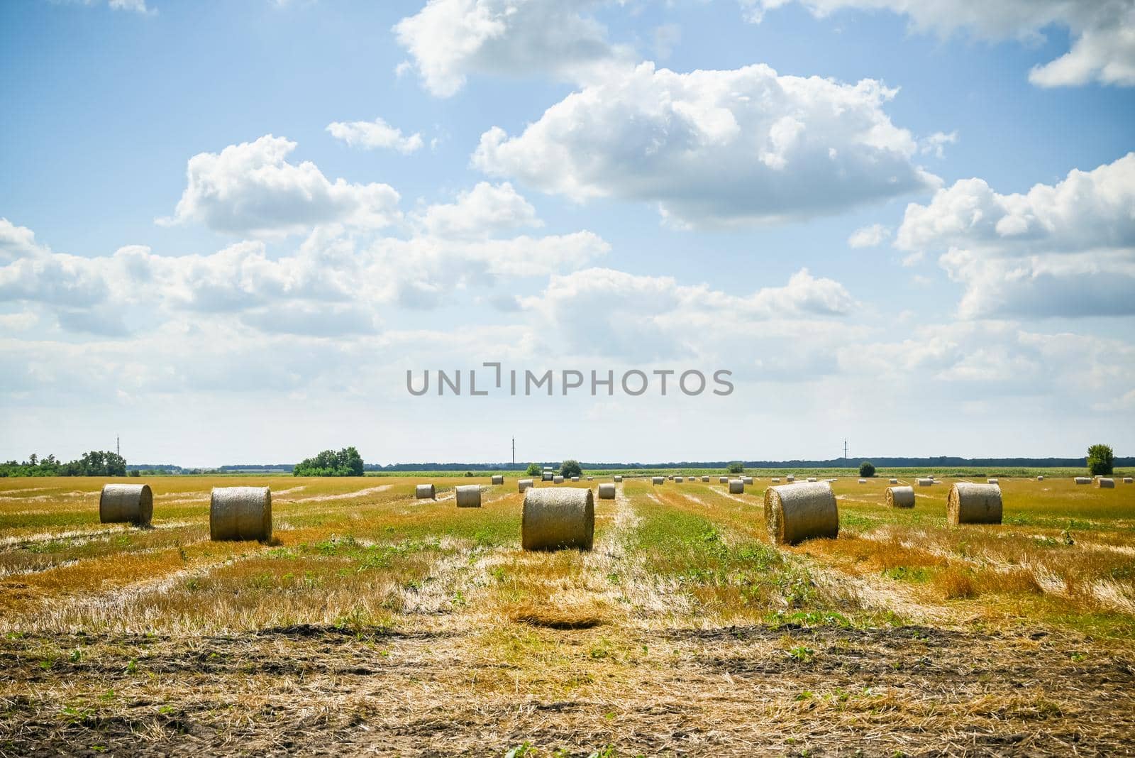 Straw stacks - stacked bales of hay left over from harvesting crops, field of an agricultural farm with harvested crops.