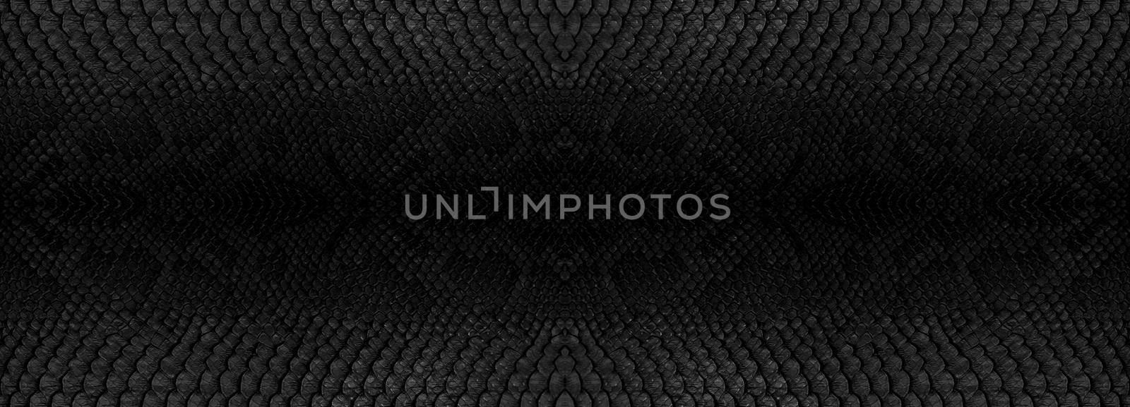Snake skin texture closeup background. Panoramic web banner with copy space background