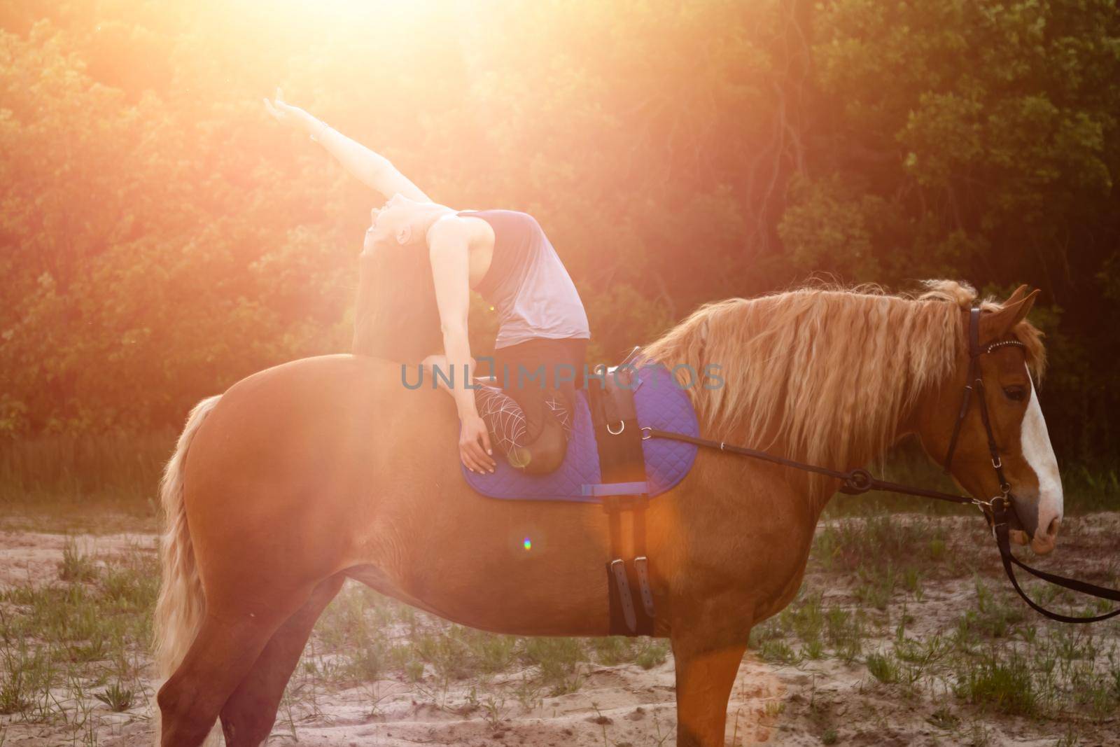 young woman doing yoga on a horse against the backdrop of trees.